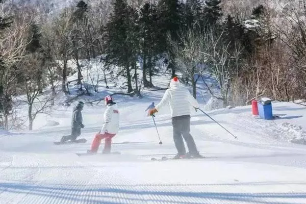 郑州滑雪去哪里最好