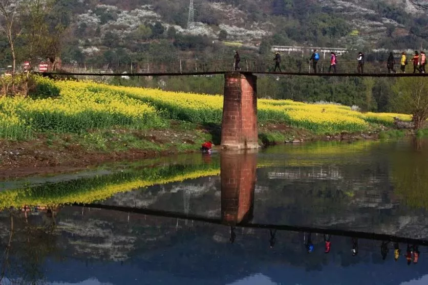 峨眉山市有哪些赏花的好地方？这份春季限定赏花地图来了