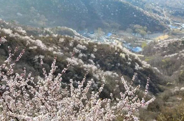 北京四月看花的地方有哪些