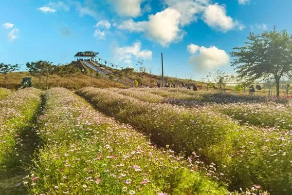 广州花都露营的好地方 花都哪里有露营的地方