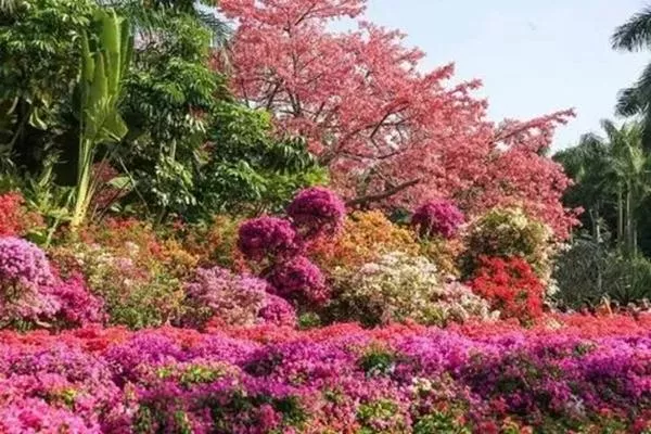 长沙赏桃花好去处 长沙赏桃花最佳地点