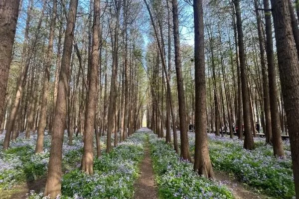 南京小众旅游景点推荐