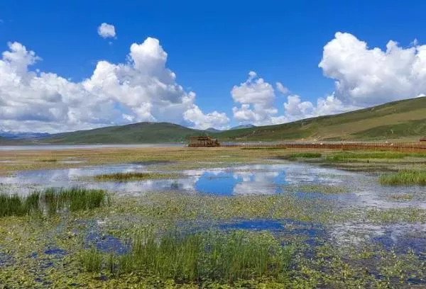 甘南夏天旅游景点推荐