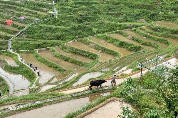 丽水旅游攻略必去景点推荐