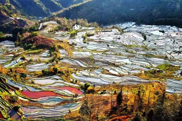 云南元阳梯田最佳旅游时间