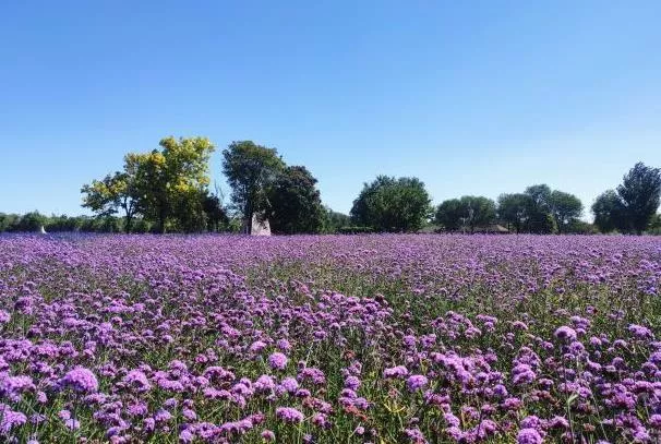 北京旅游小众景点推荐